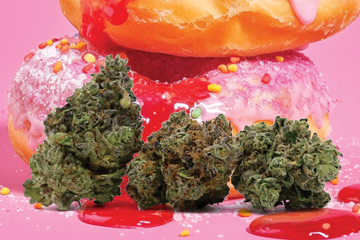 New Strain: Jelly Donutz - Noa Botanicals