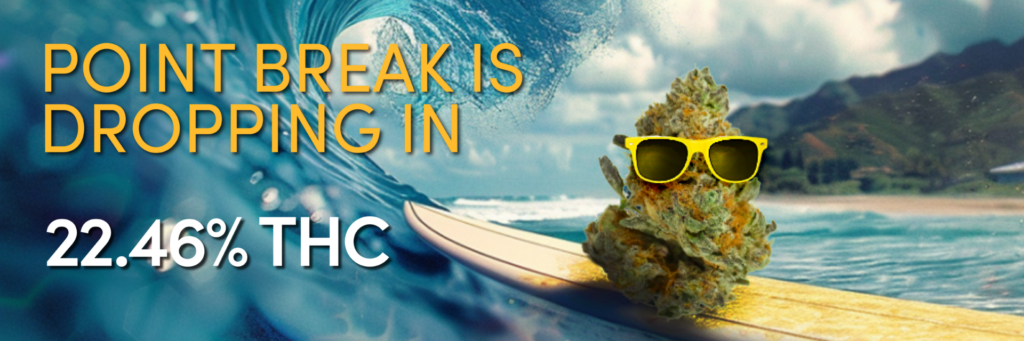 Point break weed strain nug surfing on wave