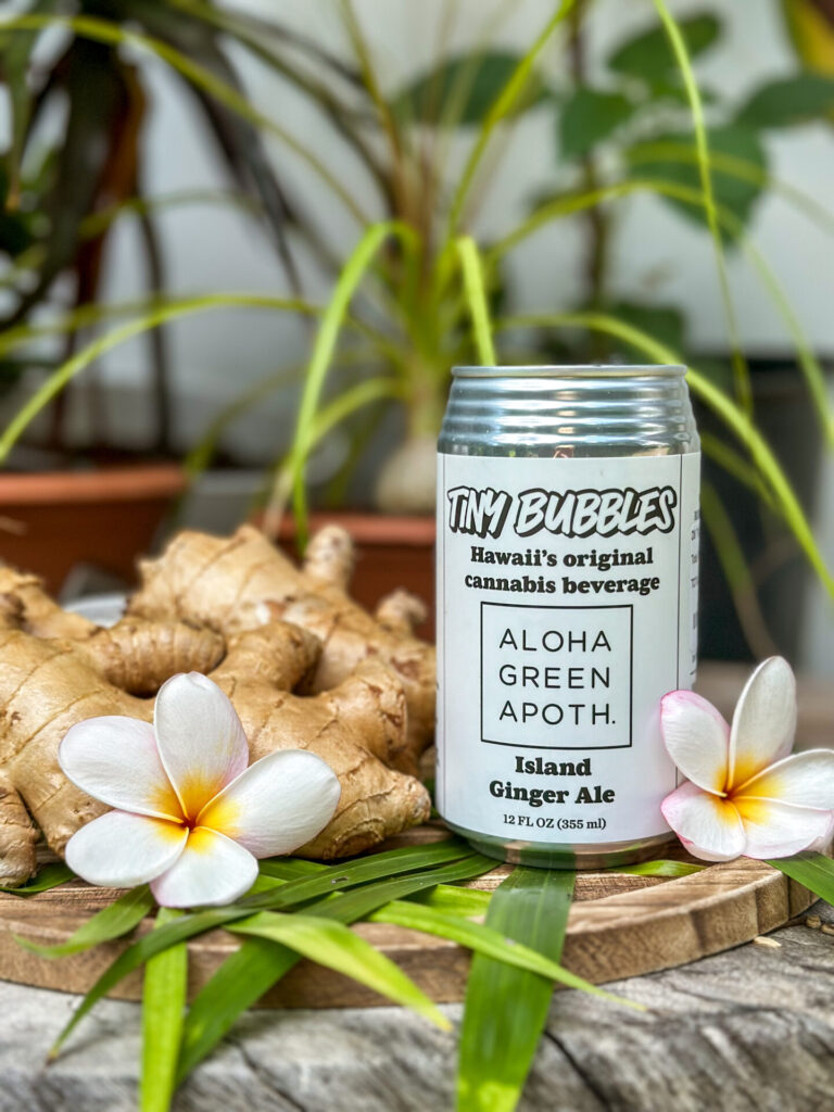 A can labeled "Tiny Bubbles - Aloha Green Apothecary X Noa Botanicals- THC Infused Island Ginger Ale" is surrounded by ginger roots, flowers, and green leaves.