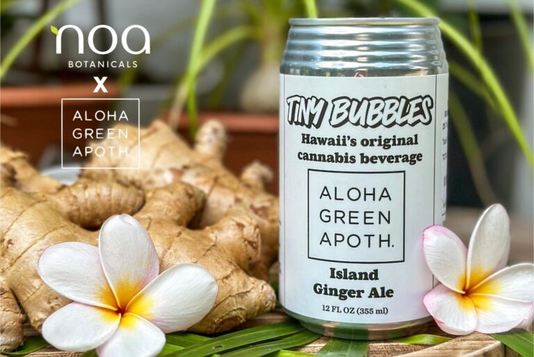 A can of Tiny Bubbles THC Infused Island Ginger Ale by Aloha Green Apothecary X Noa Botanicals sits on a table with ginger roots and white flowers. The label proudly states it is Hawaii's original cannabis beverage.