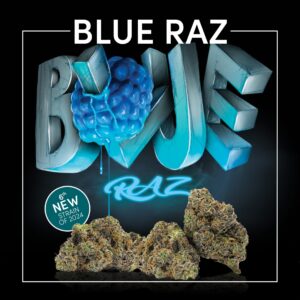 Image of a product named "Blue Raz" featuring stylized lettering with a blue raspberry illustration and cannabis buds at the bottom. Text highlights it as the "6th New Strain of 2024.