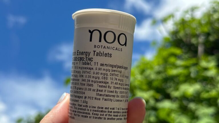 Close-up of a hand holding a container labeled "noa BOTANICALS THC Energy Tablets" against a backdrop of trees and a cloudy sky. The label includes dosage and ingredient information.