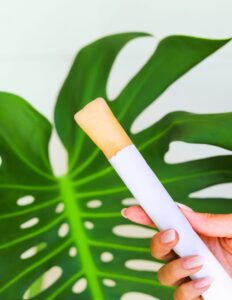 A hand holding a cannabis-infused popsicle against a background of a large green monstera leaf.