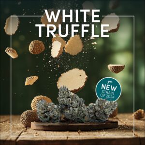 Floating truffle pieces hover above the White Truffle Flower cannabis buds, labeled "White Truffle," with a badge proudly stating "7th New Strain of 2024" on a rustic wooden surface.