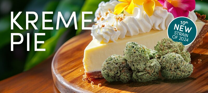 A slice of pie with whipped cream and flowers rests on a wooden board next to cannabis buds. Text reads, "Kreme Pie—our 10th new cannabis strain of 2024.