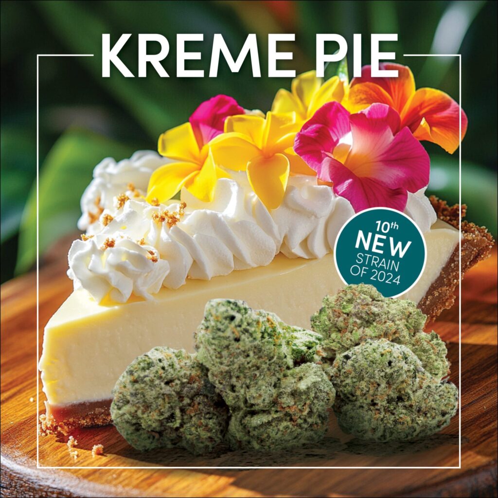 A slice of Kreme Pie with whipped cream and colorful flowers on top sits beside vibrant cannabis buds, marked as the 10th new Kreme Pie Cannabis Strain of 2024.