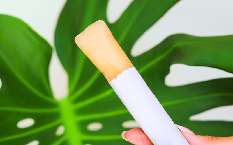 A hand holding a cannabis-infused popsicle against a background of a large green monstera leaf.