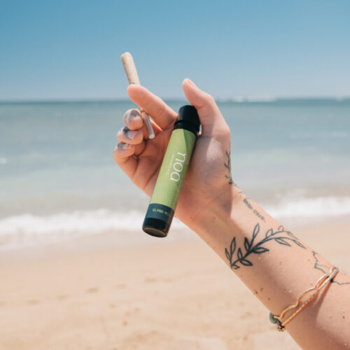 A hand a cannabis pre-roll , reminiscent of the White Rainbow cannabis strain, against the serene backdrop of the beach and ocean.